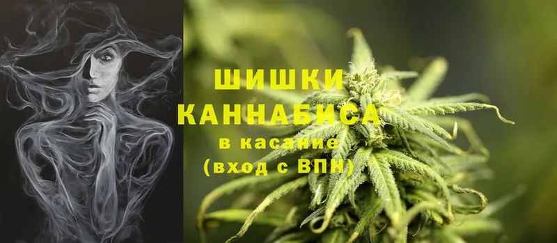 купить наркотики цена  Мыски  МЕГА зеркало  Каннабис SATIVA & INDICA 